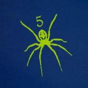A detailed close up view of the iconic lime green Sp5der spider graphic printed on a navy blue Sp5der TM Tee shirt.