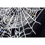 Iconic Sp5der OG Web V2 black t-shirt featuring a detailed white web graphic with colorful star accents and branding.