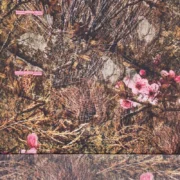 A detailed close-up shot of the Sp5der OG Web Hoodie featuring the Real Tree camouflage and signature web graphic.