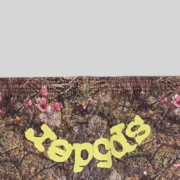 Close-up of Sp5der OG Web sweatpants featuring a brown Real Tree camo print, pink flowers, and yellow OG Sp5der graphic text.