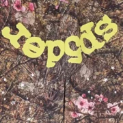 Closeup view of the Sp5der OG Web sweatpants featuring a brown Real Tree camo print, yellow logo, and pink flowers.