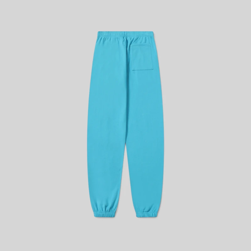 Back view of the Sp5der Punk V2 Sweatpants in Sky Blue, made from 13oz premium cotton fleece for streetwear style.