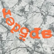 Detailed close-up view of the Sp5der Realtree OG Web V2 Shorts in White Camo with signature orange text graphics.
