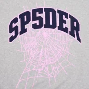 Close-up view of the Sp5der Varsity Web crewneck in grey featuring the signature pink spiderweb and navy text logo.
