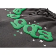 Close-up view of the Sp5der Wait Web Sweatpant in Slate-Green featuring high-quality distressed iconic web graphics.
