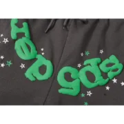 Close-up view of the Sp5der Wait Web Sweatpant in Slate-Green showing the iconic textured web and star design details.
