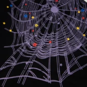 Front close-up view of the black Sp5der Worldwide Web Hoodie featuring an iconic purple web graphic with colorful stars
