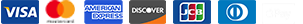 Secure payment options on Sp5der website including Visa, Mastercard, American Express, Discover, and JCB card logos.