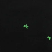 Close-up view of the black Sp5der Heavy Web cotton tee showing the vibrant neon green star print detail on the fabric.
